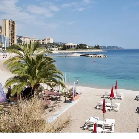 Princesse Palace - Monte Carlo Les Orchidees Apartment *